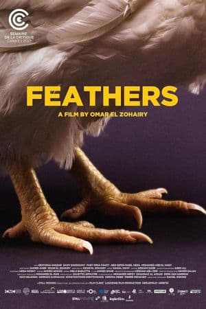 Feathers 2021